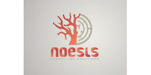 RATCHET - Noesis Consulting logo